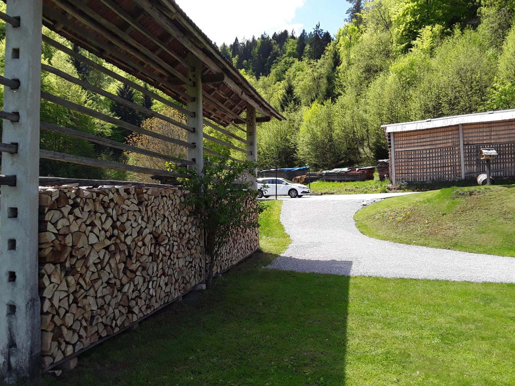 Apartment Natur Bled Extérieur photo